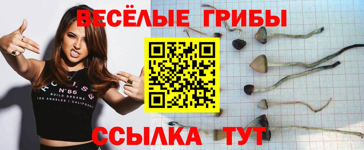 Гулькевичи  Псилоцибиновые грибы GOLDEN TEACHER  Вход с VPN 