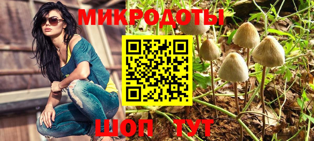 Галлюциногенные грибы мухоморы Гулькевичи